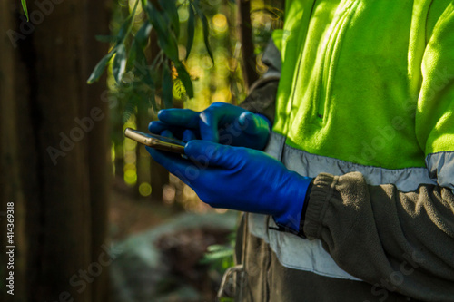 forest worker using smartphone in the forest