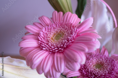 Pink Flower
