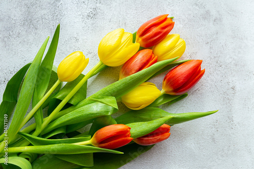 Tulip flowers