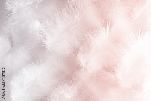 Beatyful and very light airy pink background image based on macro photo of bird feathers.