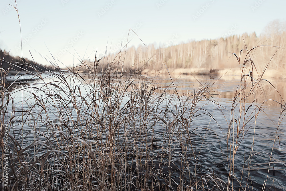 Fototapeta premium branches covered with hoarfrost background, abstract landscape snow winter nature frost