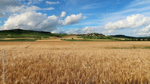 Agriculture céréalière en Champagne Ardenne, paysage de campagne en été, avec un champ de céréales (orge) et le village de Châtillon sur Marne en arrière-plan (France)