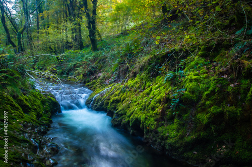 waterfall in the forest