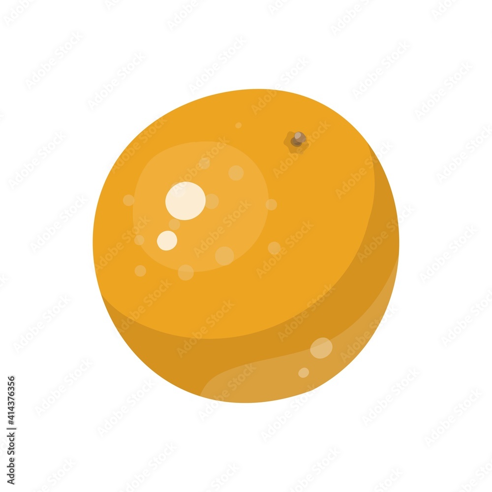 Obraz premium Vector Set of Cartoon Grapefruits. Whole, Peeled and Sliced