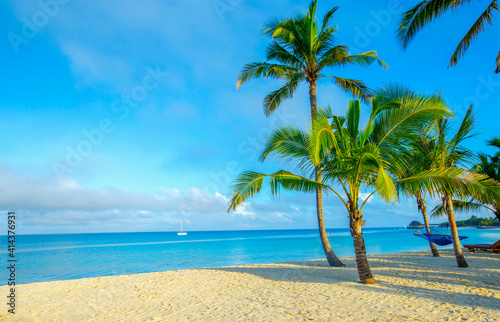 Coconut tree on the sky background © photolink