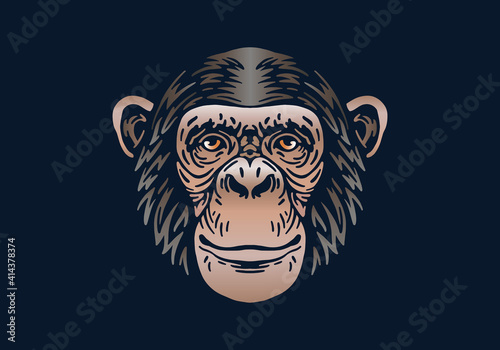chimpanzee