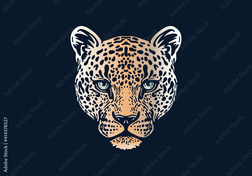 Leopard head illustration, vector, hand drawn, isolated on black background, african animal Leopard head illustration, vector, hand drawn, isolated on black background, african animal