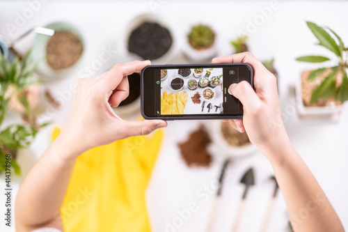 Unrecognizable woman taking a photo of a small houseplant.