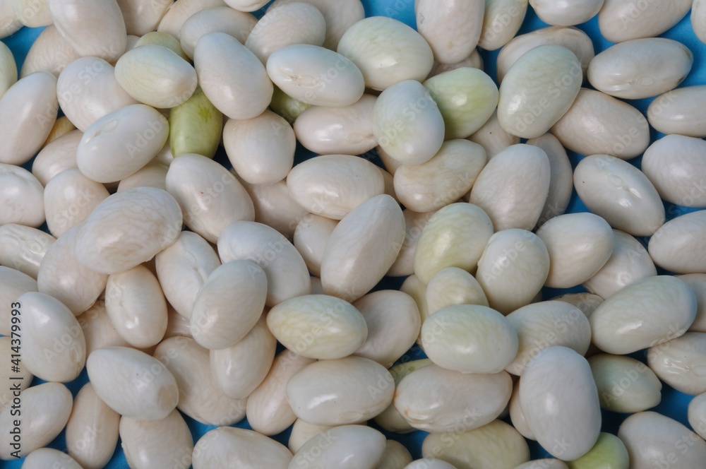 Coco paimpolais bean on a blue background