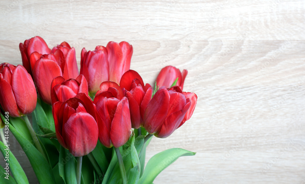 Bouquet from red fresh tulips on light oak wood background. Spring holidays template. Womens day, spring, love, romantic, flowers, garden, Easter card, banner, header template Bouquet from red fresh tulips on light oak wood background. Spring holidays template. Womens day, spring, love, romantic, flowers, garden, Easter card, banner, header template