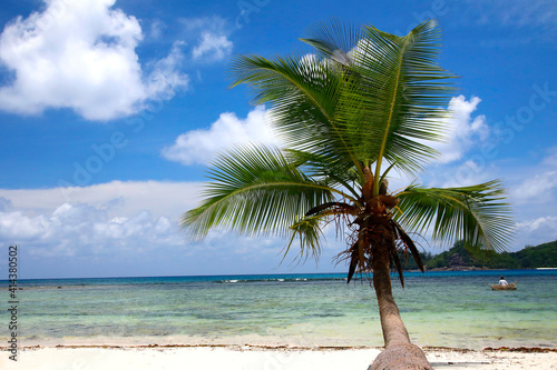 Fototapeta Naklejka Na Ścianę i Meble -  Kokospalmen am tropischen Strand, Sandstrand, Tropen, Seychellen, Afrika