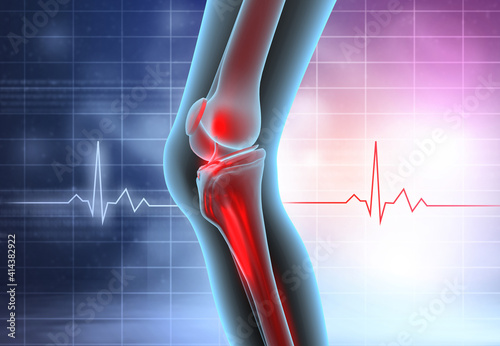 Photography Knee joint anatomy on medical background. 3d illustration.