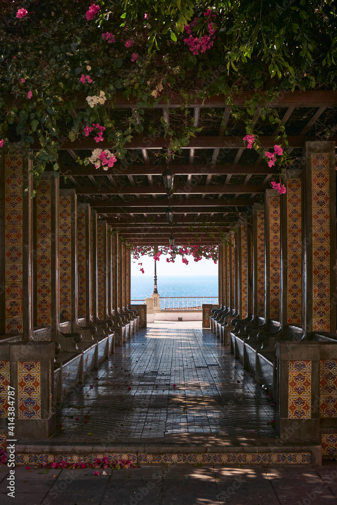 gorgeous allesway with bright pink flowers headed toward the ocean gorgeous allesway with bright pink flowers headed toward the ocean