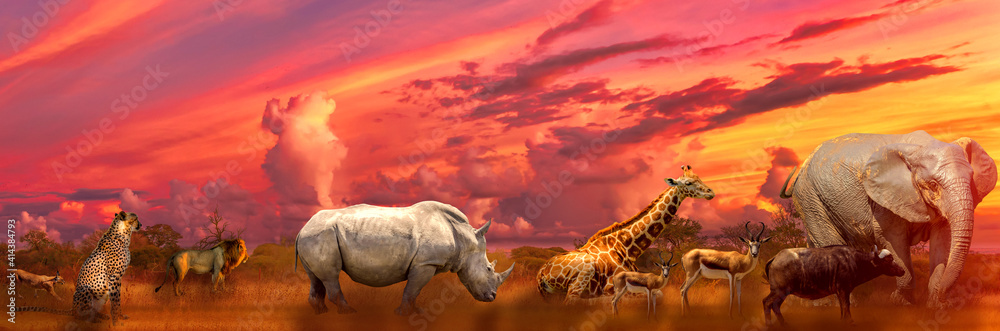 Banner panorama of Big Five and wild animals collage with african landscape  at sunrise in Serengeti wildlife area, Tanzania, East Africa. Africa safari  scene in savannah landscape. Stock Photo | Adobe Stock