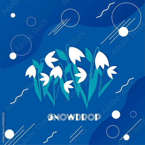 Snowdrop. Happy womens day. Vector illustration on the theme Spring, the first flowers snowdrops, International Women's Day.