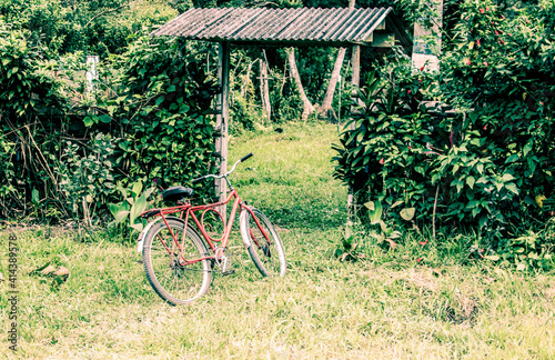 old bicycle in the garden