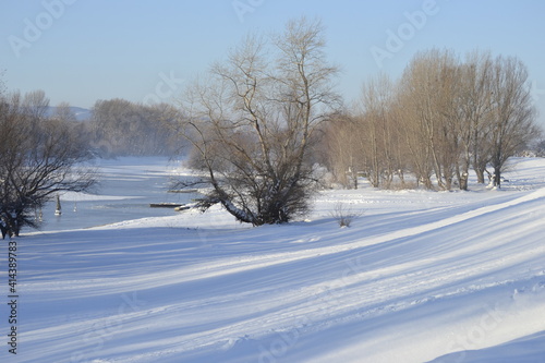 Panorama of the frozen backwater, Danube in December 2012. © caocao191