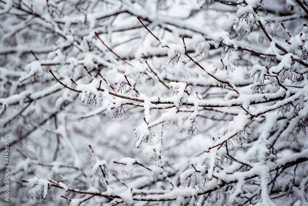 Under the snow