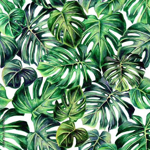 Fototapeta Naklejka Na Ścianę i Meble -  Seamless tropical leaf pattern. Watercolour botanical illustration. Beautiful elegant monstera leaf pattern. For fabric, paper, and other designer