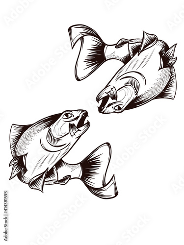 Fishing. Hand drawn vector fish. Sketch fish.