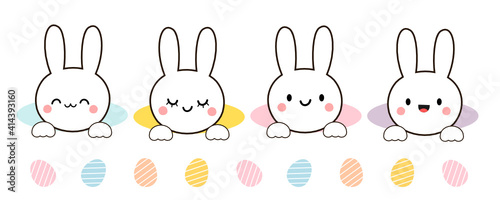 Set of Easter rabbits and eggs on daisy flower garden background vector illustration.