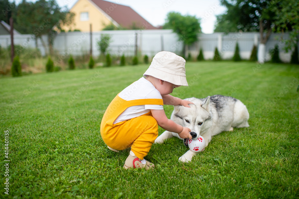 A little boy playing with the dog in the garden A little boy playing with the dog in the garden