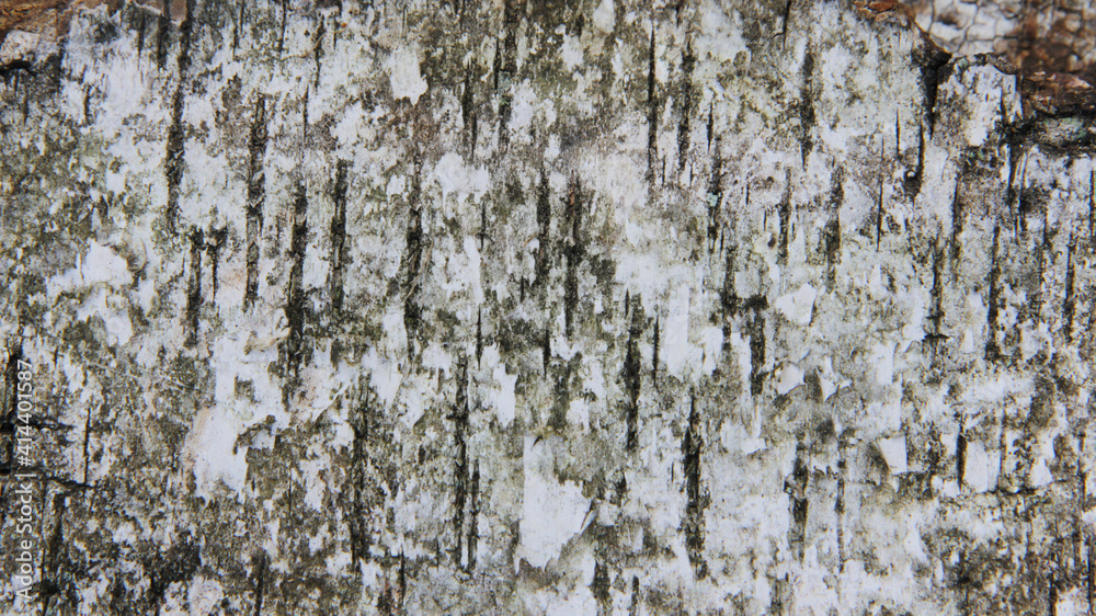 Obraz premium old stone texture