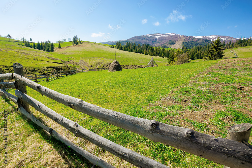 mountainous rural landscape in spring. haystack on a grassy field behind the wooden fence on rolling hills. snow capped ridge in the distance. beautiful countryside scenery on a bright sunny day