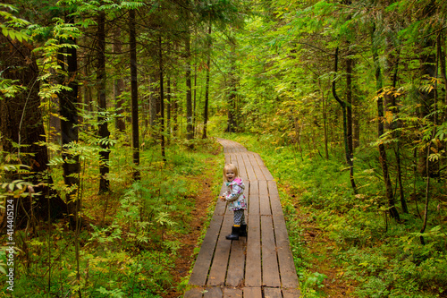 The girl walks along the trail in the autumn forest. Little girl in the autumn forest among conifers and ferns