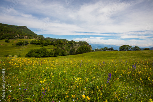 Spring landscape in Falgars D En Bas  La Garrotxa  Spain