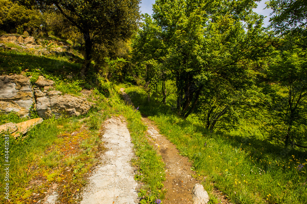 Spring landscape in Falgars D En Bas, La Garrotxa, Spain