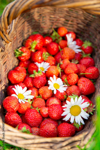 basket of strawberries