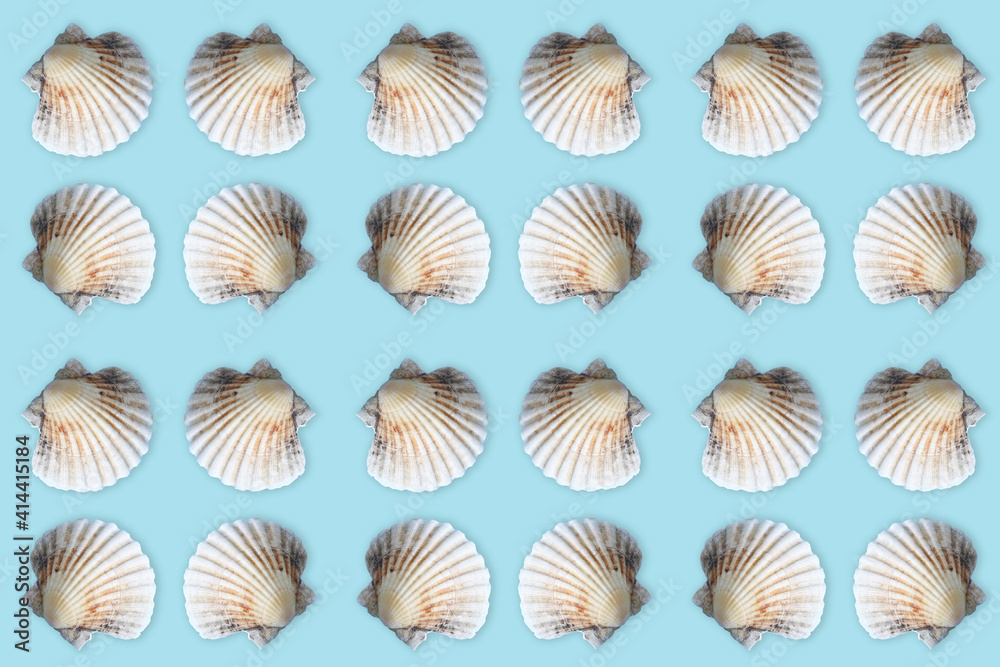 sea shell pattern on blue background