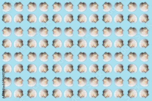 sea shell pattern on blue background © Iveta