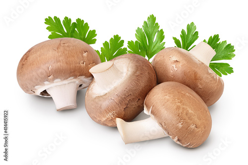 Royal Brown champignon isolated on white background with clipping path and full depth of field photo