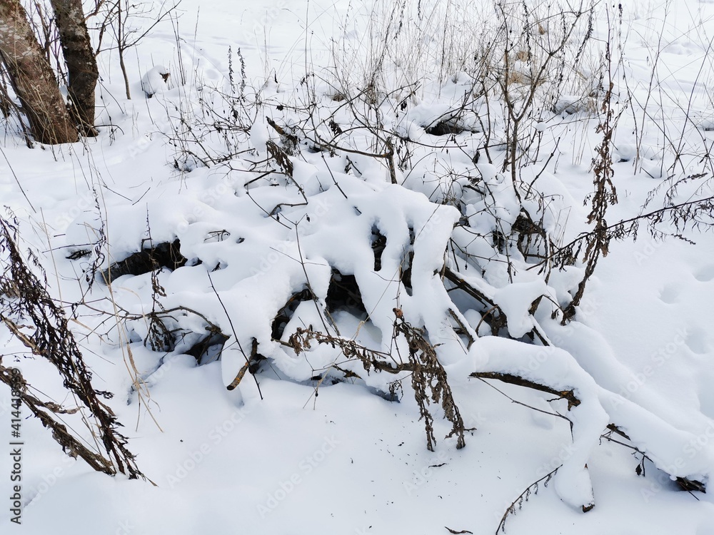 winter landscape tree branches snow cold day winter landscape tree branches snow cold day