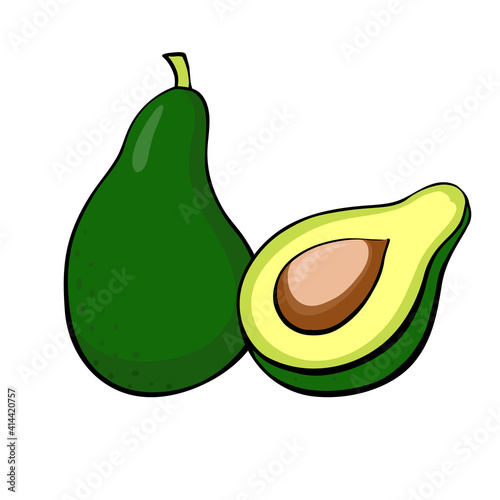 Avocado and half with bone. Vector illustration of a ripe fruit. Diet and vegan food