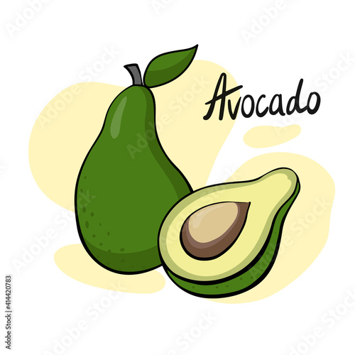 Avocado and half with bone. Vector illustration of a ripe fruit. Diet and vegan food