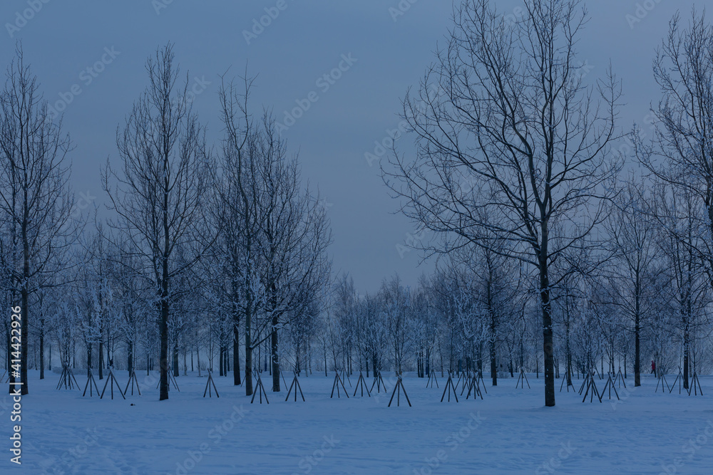 Cold winter evening in 300 Years park in Saint Petersburg, Russia. Cold winter evening in 300 Years park in Saint Petersburg, Russia.