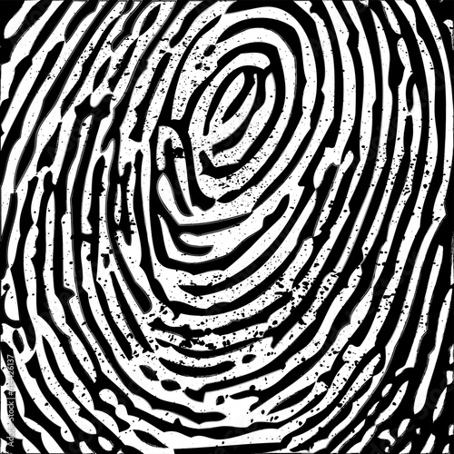 Fingerprint white background