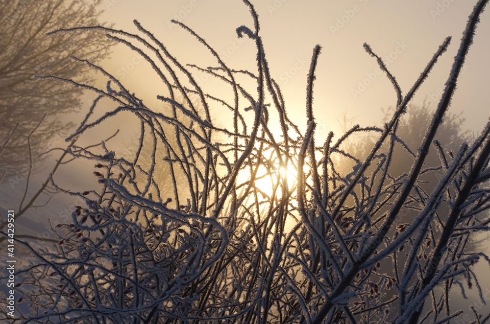 Sonnenaufgang bei -21,5 Grad - Februar 2021 Sonnenaufgang bei -21,5 Grad - Februar 2021