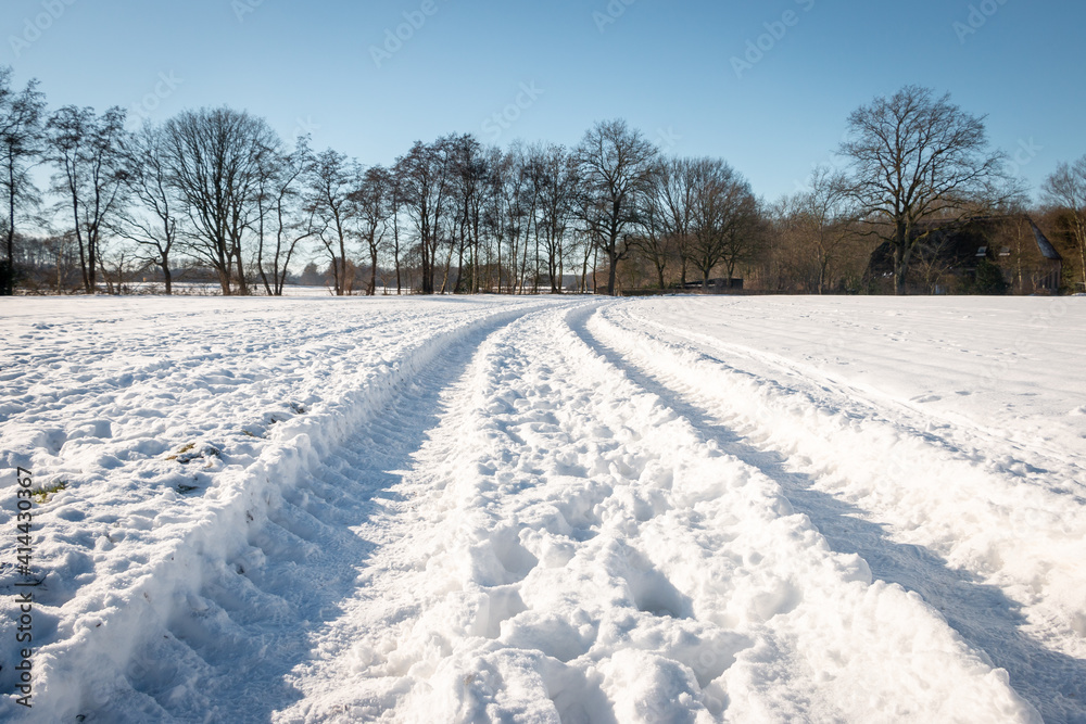 Path through the snowy landscape of the nature reserve Path through the snowy landscape of the nature reserve
