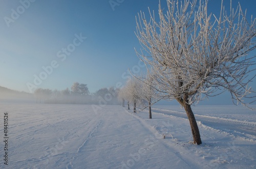 Winterlandschaft bei -21,5 Grag - Februar 2021