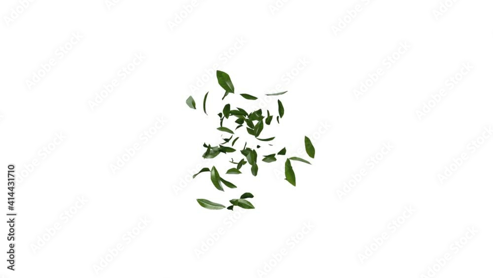 3D animation of green tea leaves flow with alpha layer 3D animation of green tea leaves flow with alpha layer