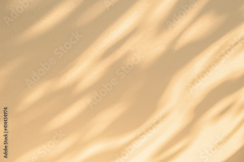Abstract  light shadow of leaves blurred background. Natural diagonal leaves tree branch beige shadows and sunlight dappled on white concrete wall texture © merrymuuu