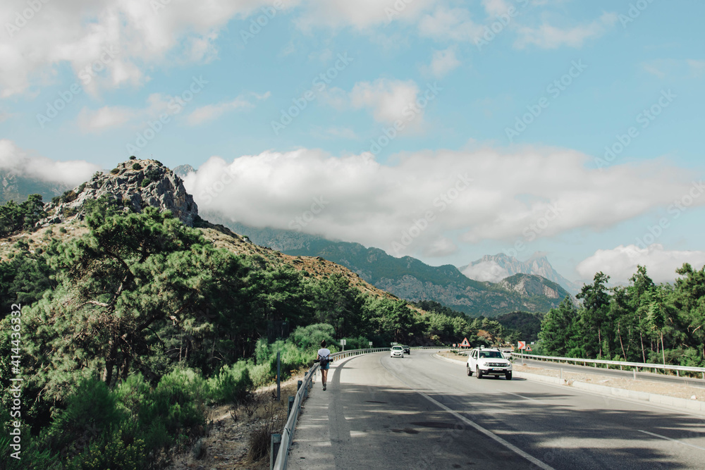 summer landscape with palm trees and mountains summer landscape with palm trees and mountains