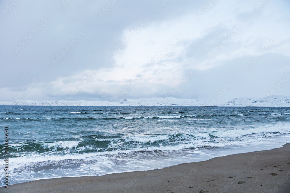 seascape of the winter sea. coast of the arctic ocean in winter.  