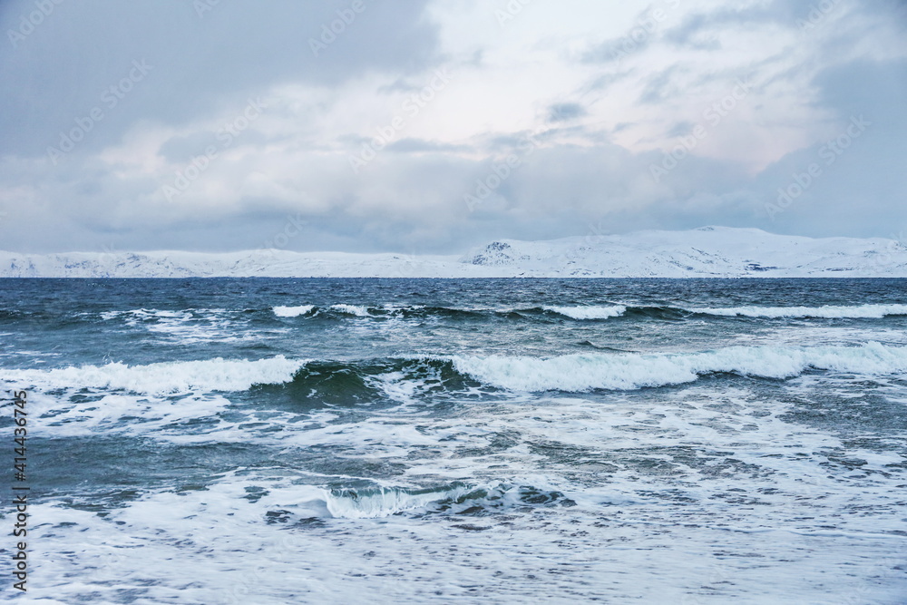 seascape of the winter sea. coast of the arctic ocean in winter.  