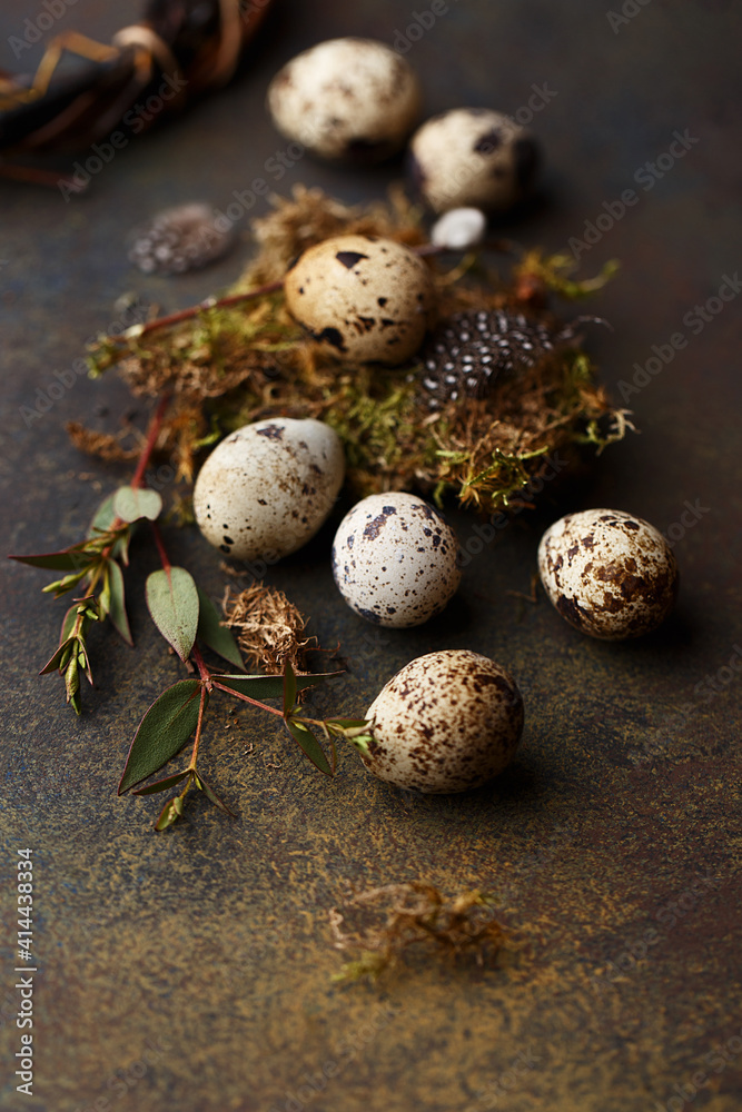Easter symbol - quail eggs with pussy willow twigs and moss Easter symbol - quail eggs with pussy willow twigs and moss