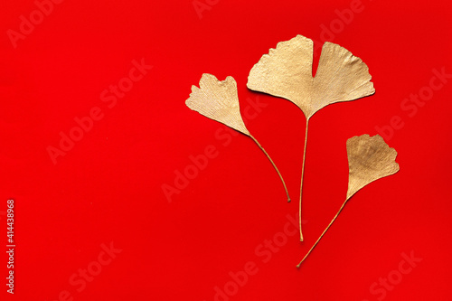 heart shaped leaf gingko tree yellow on paper background photo